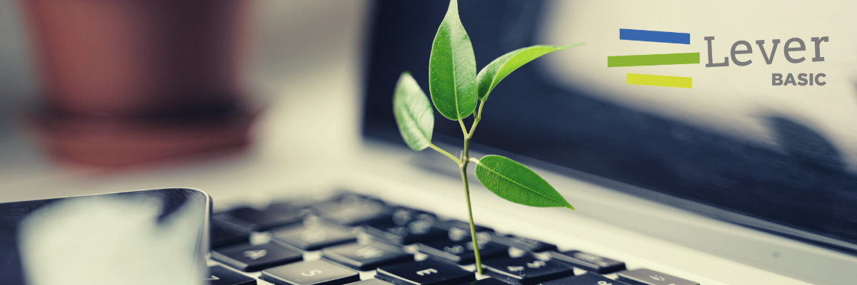 Grafika dekoracyjna do artykułu o Lever Basic ze zdjęciem rośliny wyrastającej z laptopa