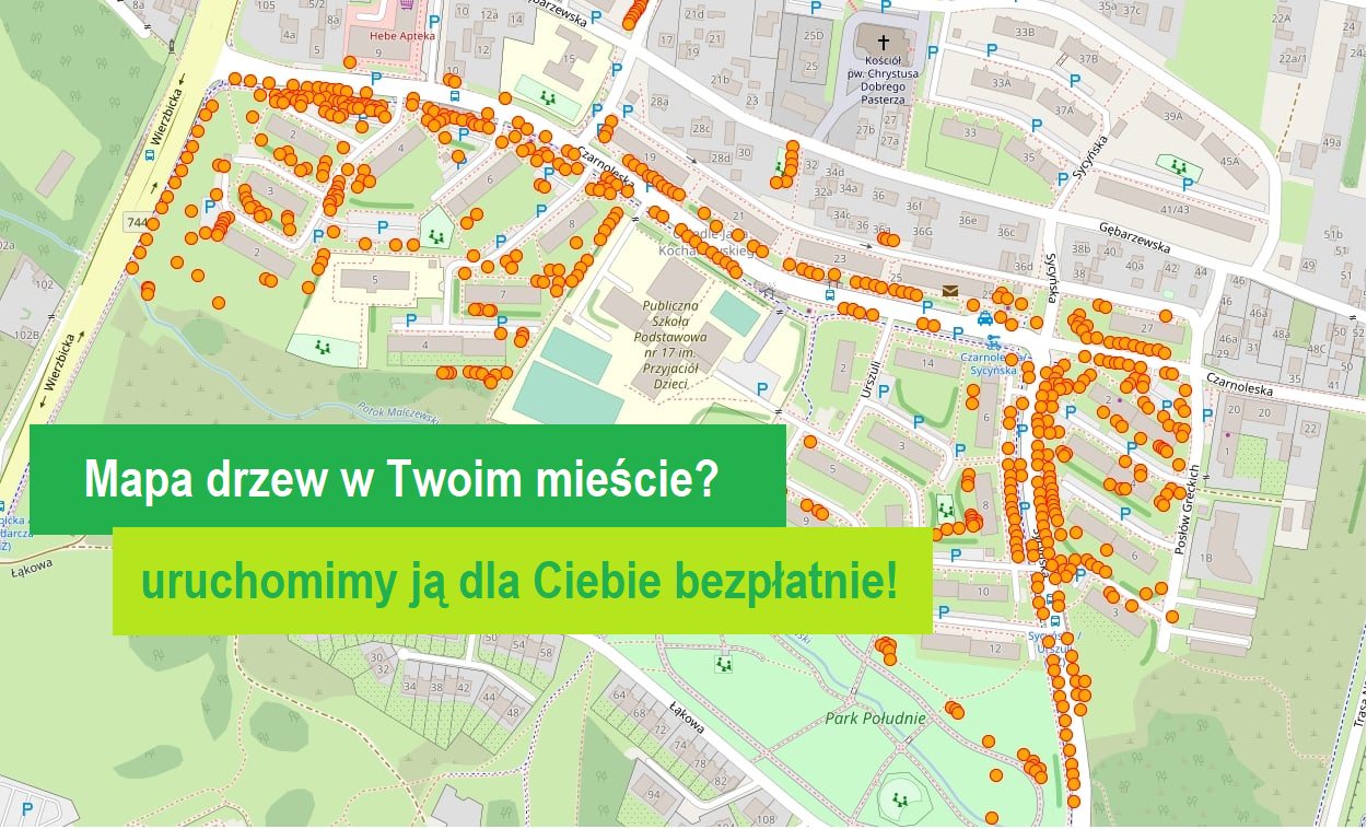 twoje-miasto-drzew